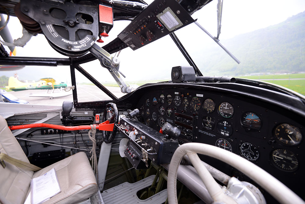 lszc_mbl_2013-05-02_3803_1000.jpg